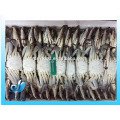 frozen blue swimming crab 100g -150g 150-200g